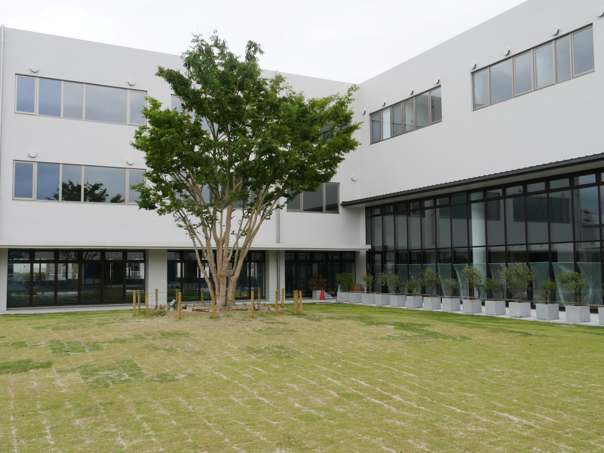 Commercial courtyard